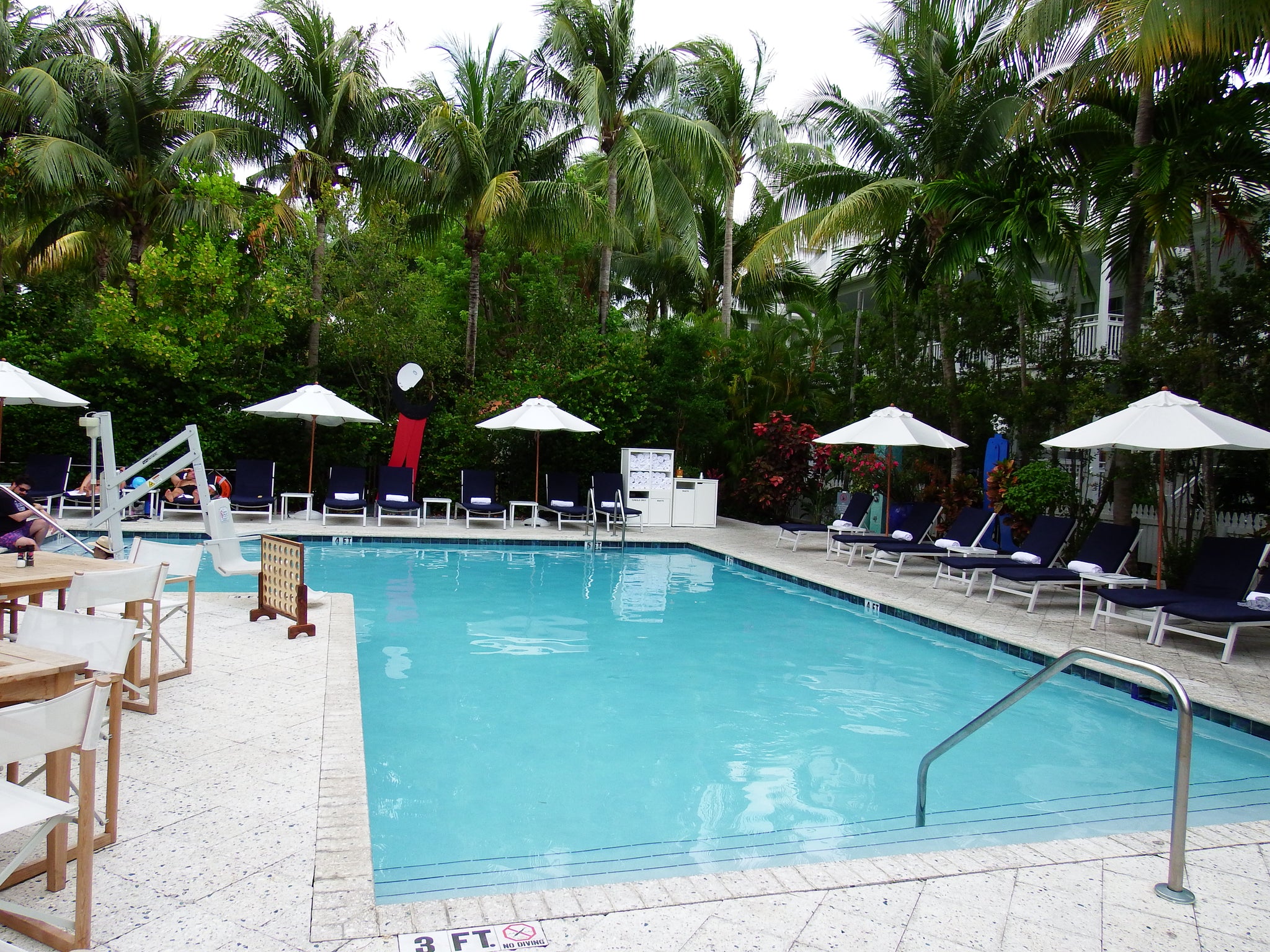 artsy sister,pool,parrot key