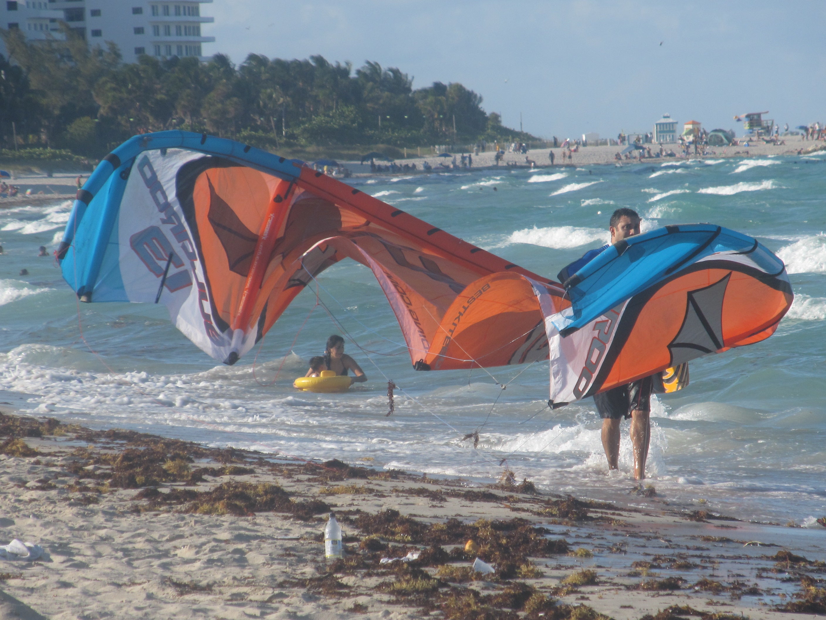 artsy sister, miami beach, gift