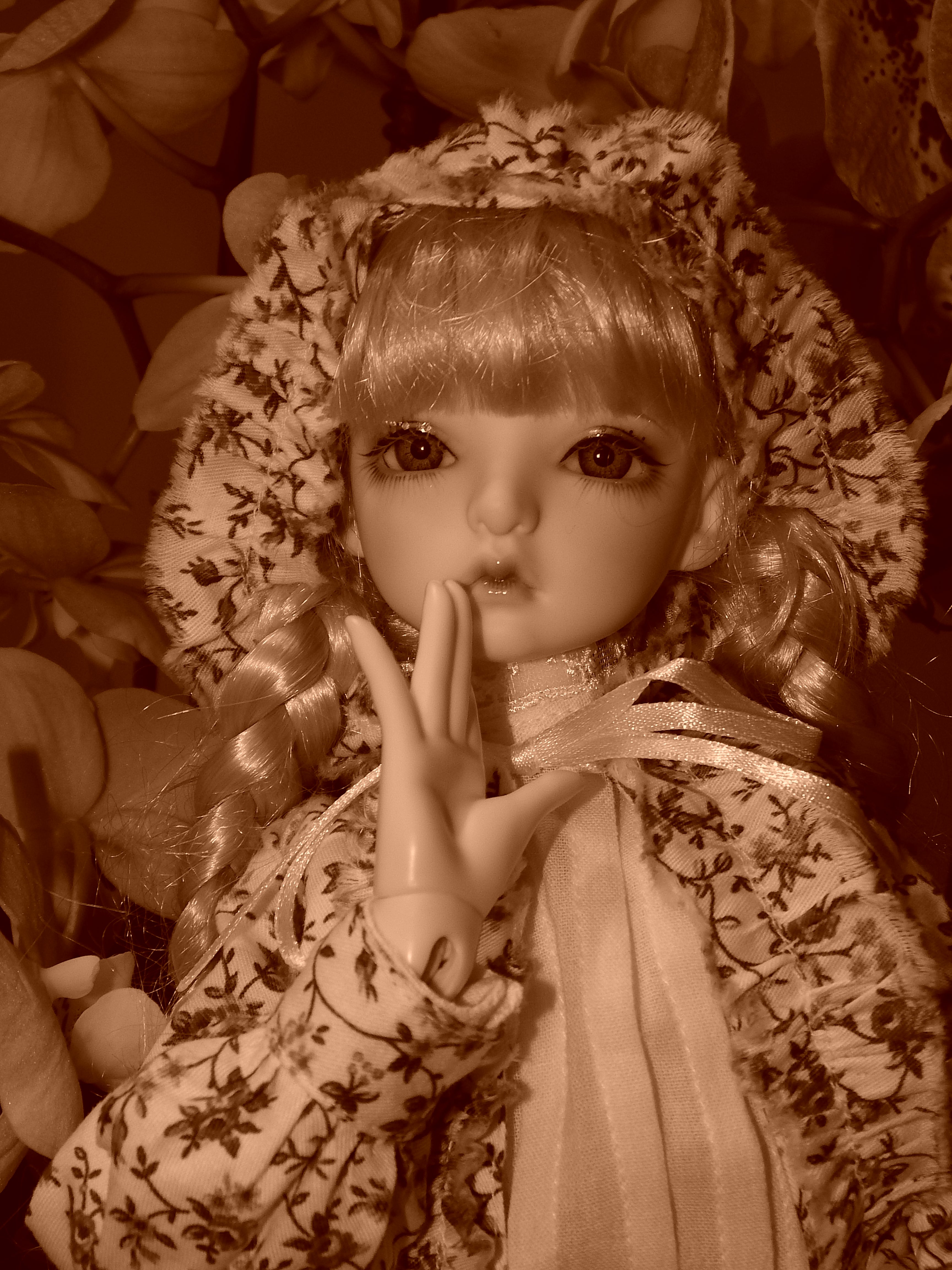 artsy sister, bjd, dolls