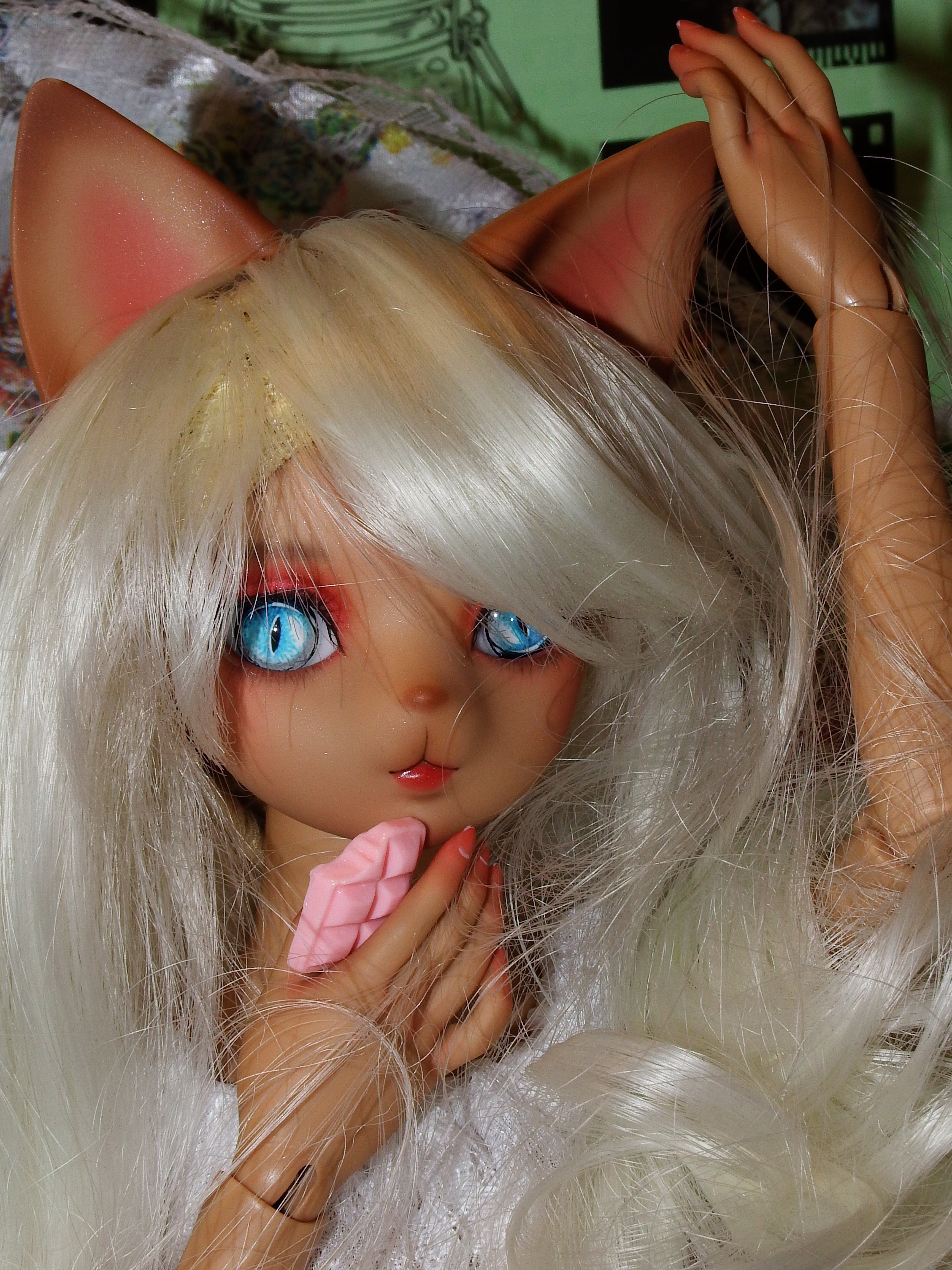 artsy sister, bjd doll, cute cat