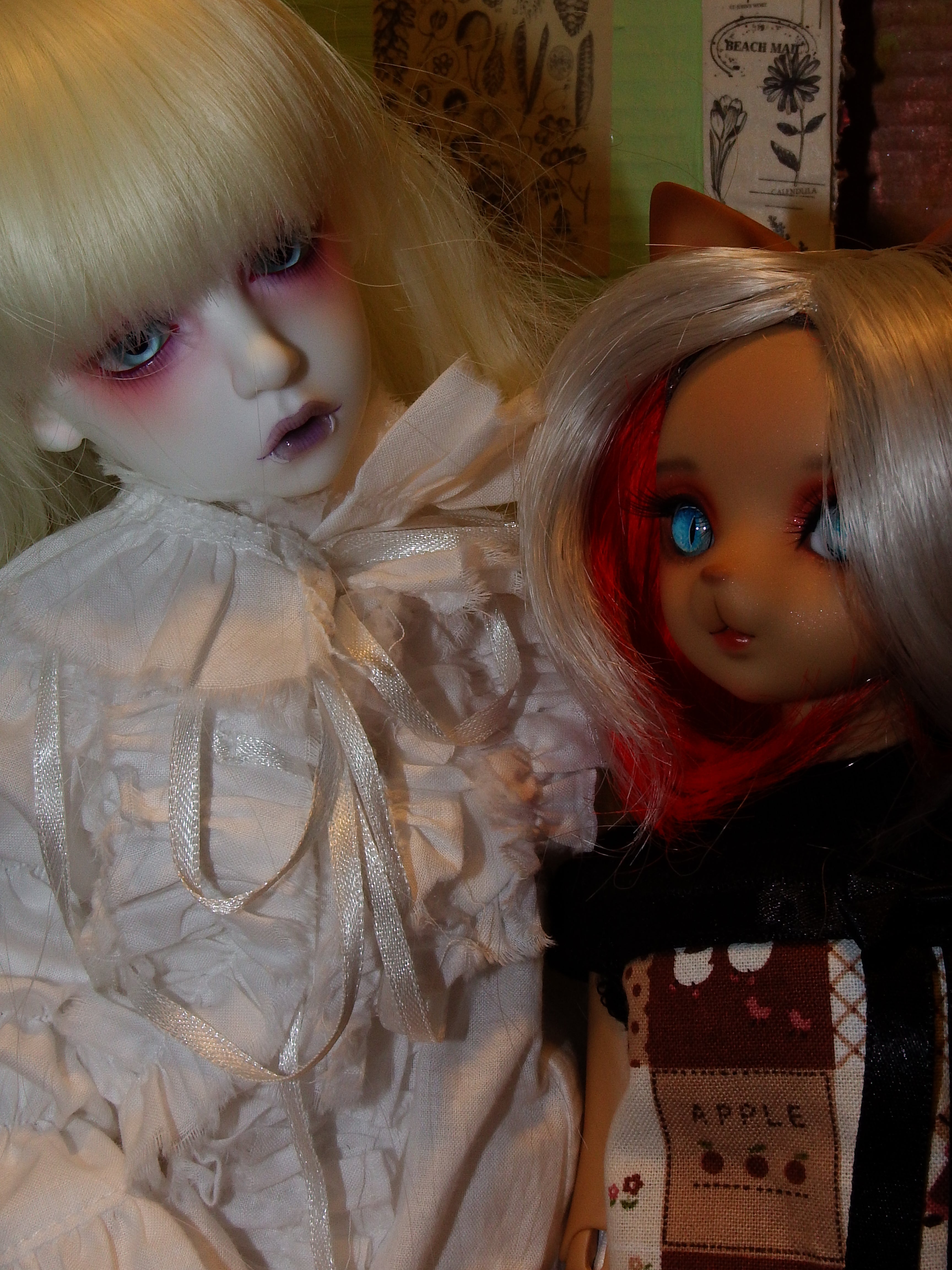 artsy sister, dearmine cat, dollmore vampire