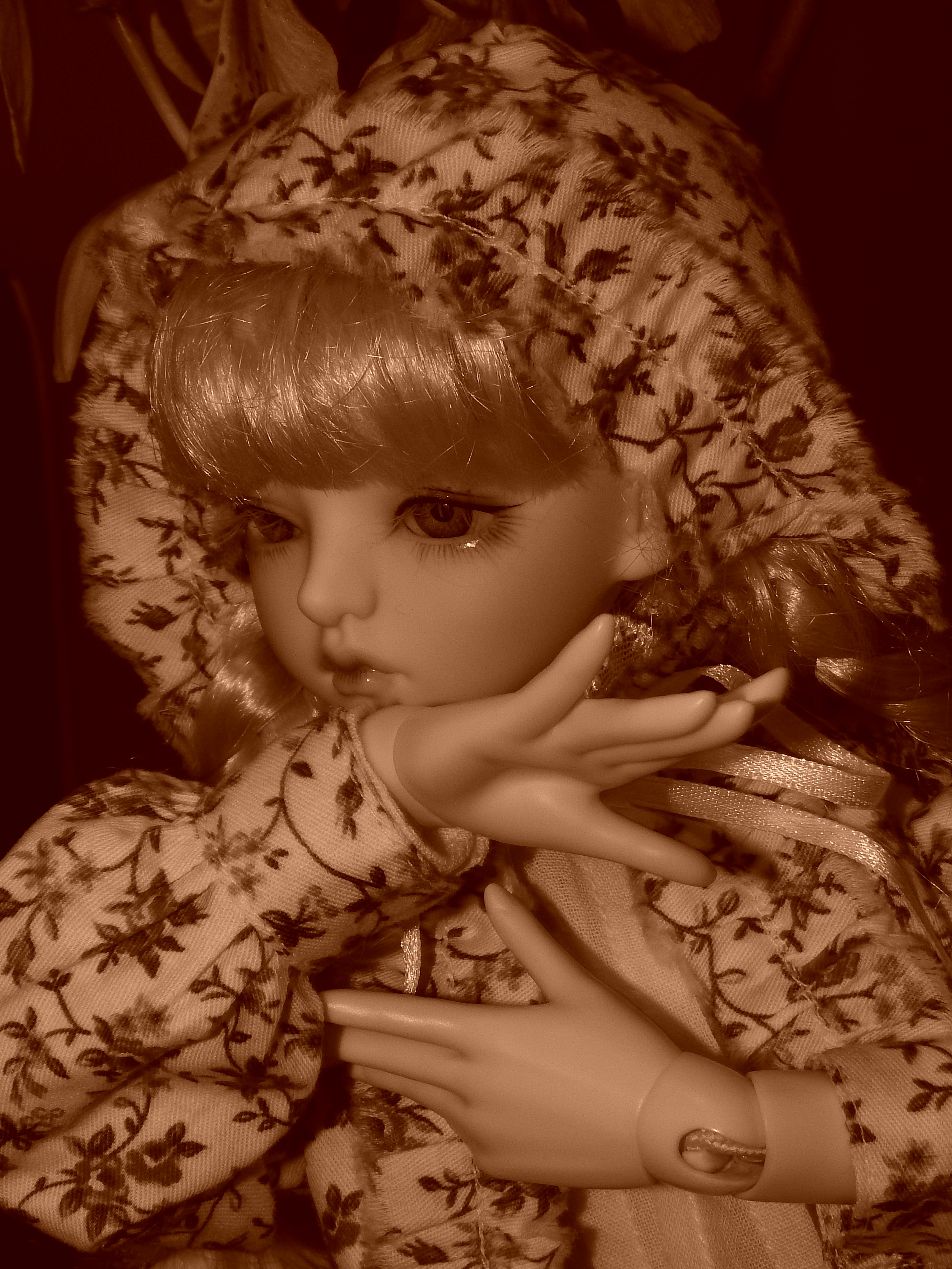 artsy sister, bjd, dolls