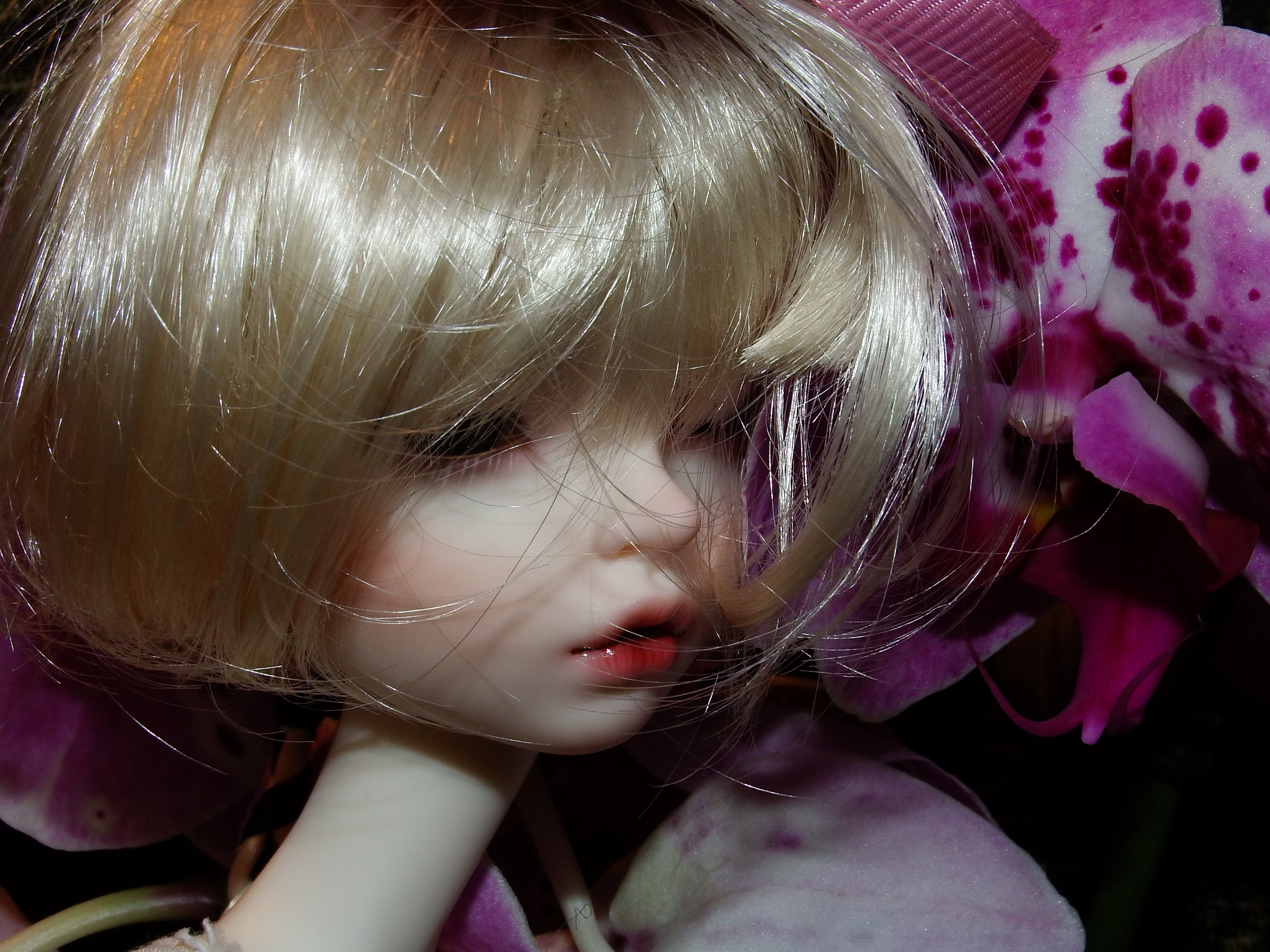 artsy sister, bjd, dolls