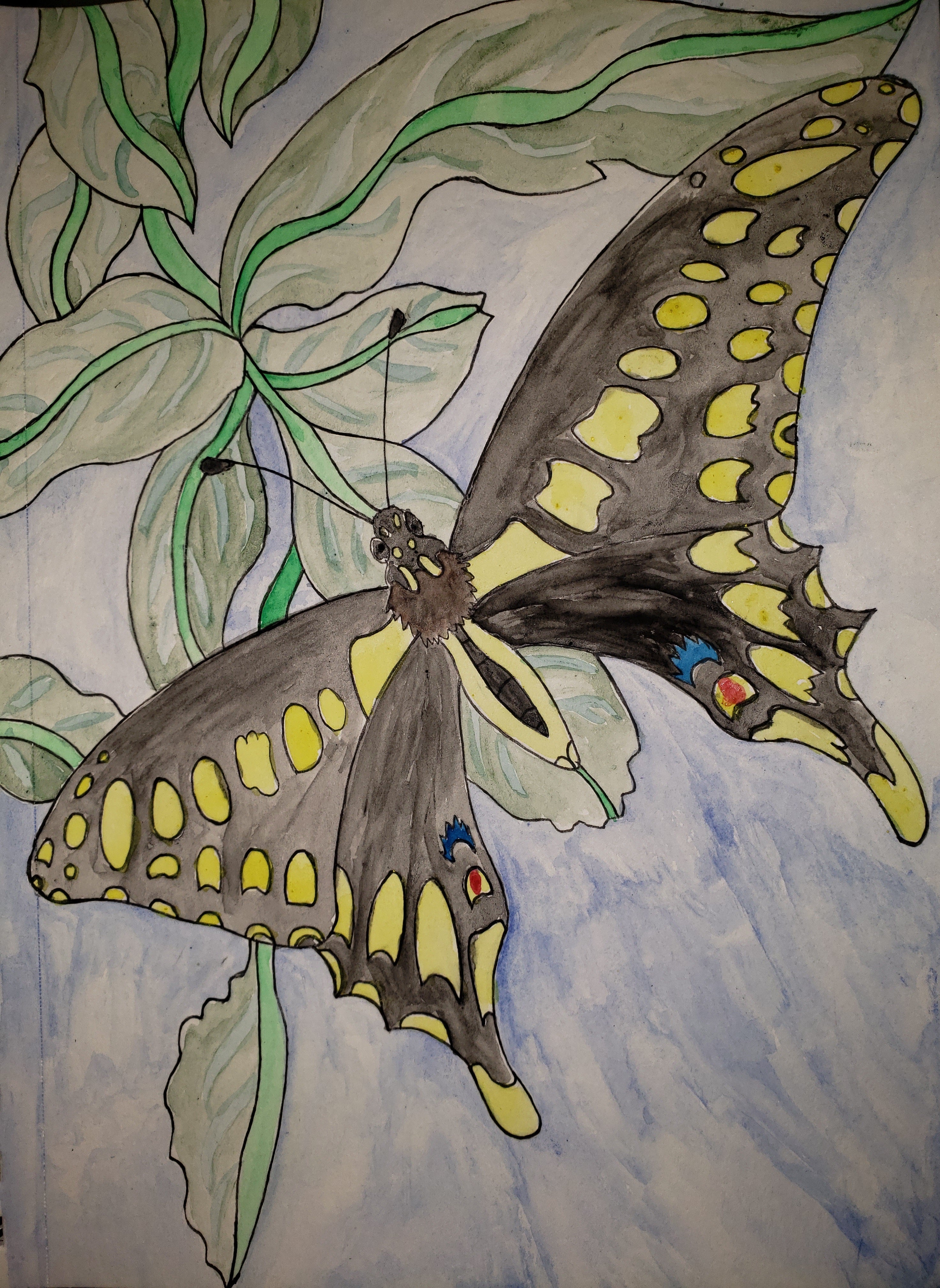 artsy sister, black swallowtail butterfly, watercolor painting