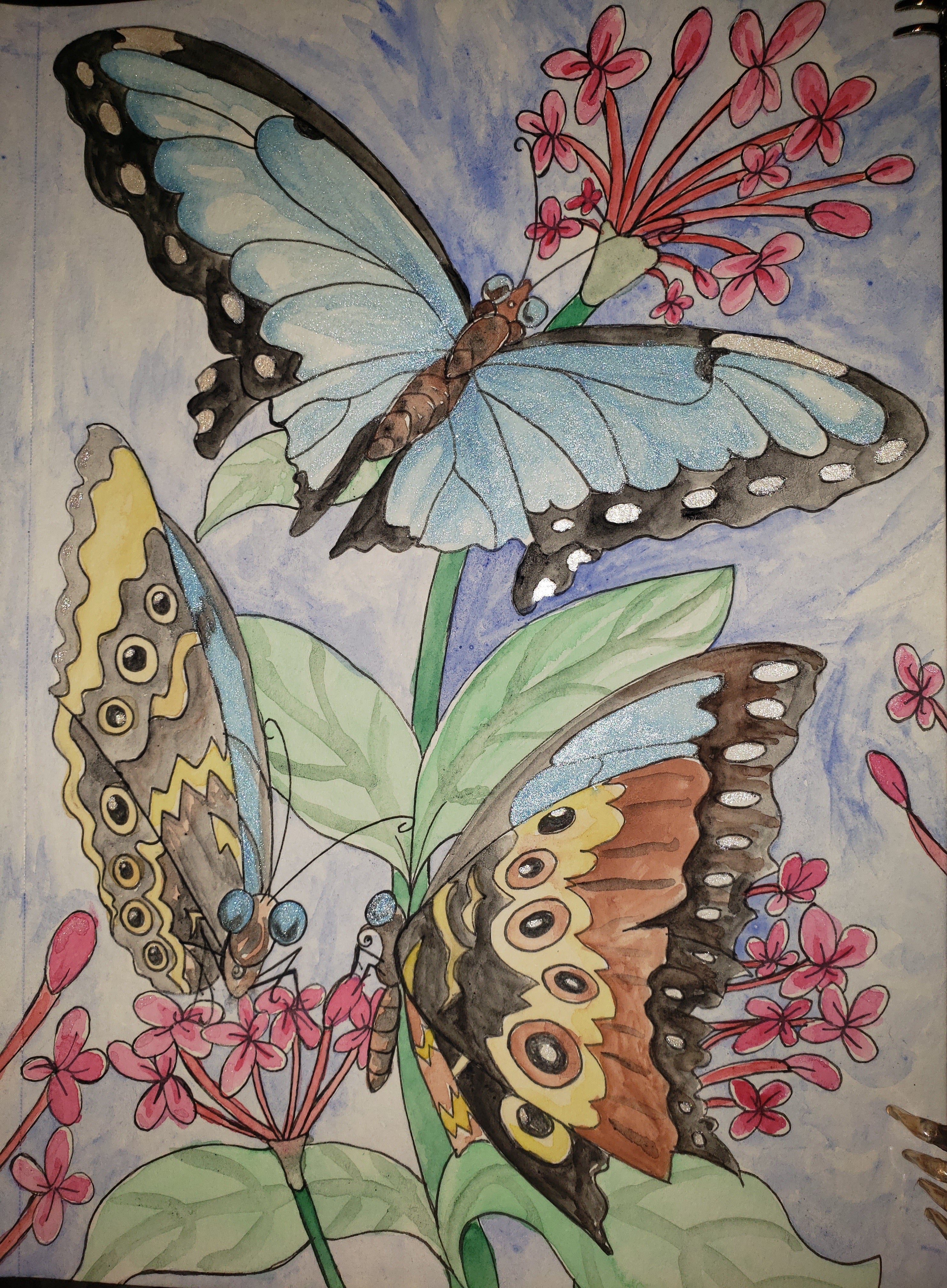 watercolor painting, artsy sister, blue morpho painting