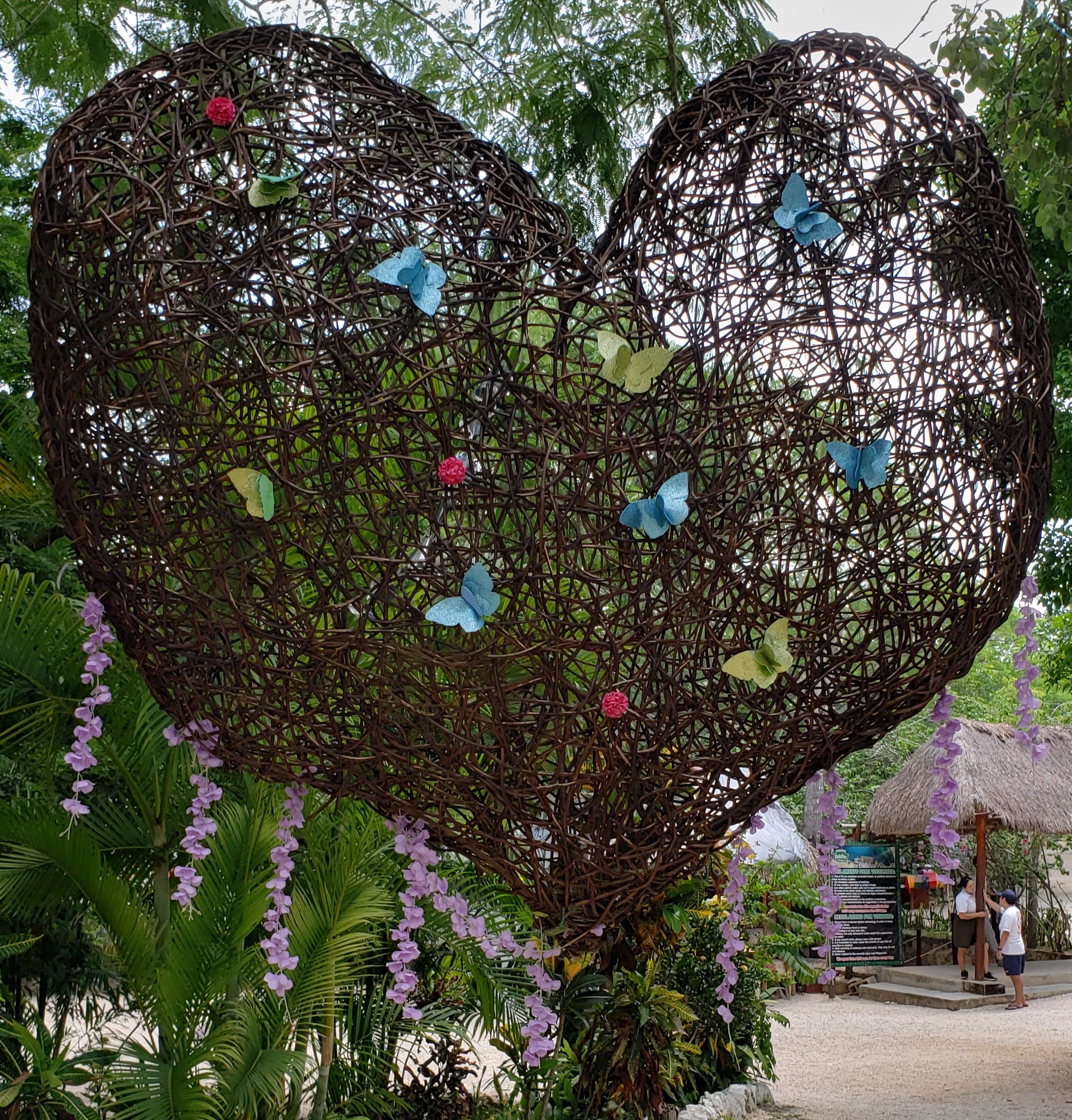 artsy sister, heart butterfly, cenote hubiku