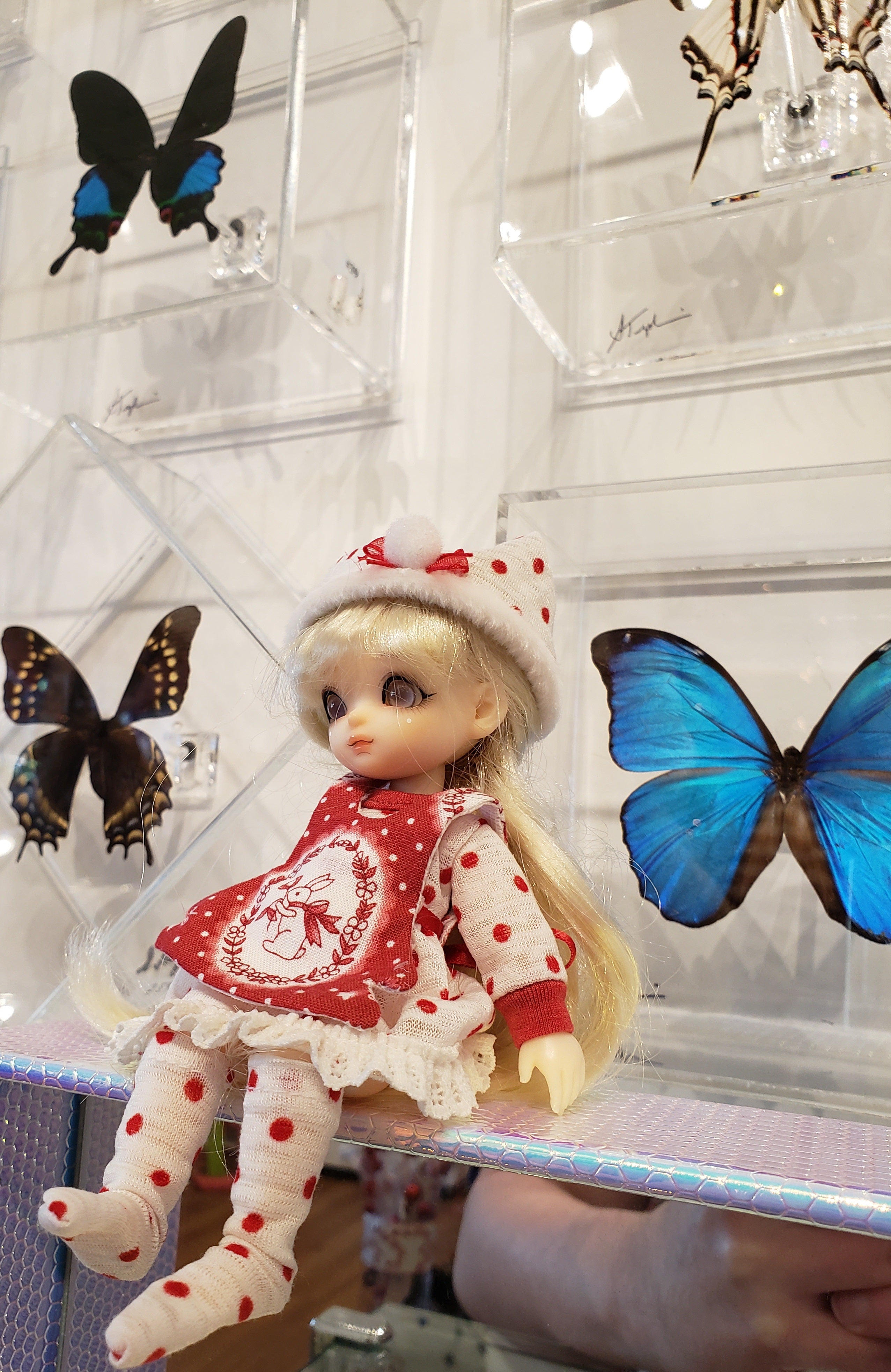 artsy sister, butterfly preserve, bjd dolls