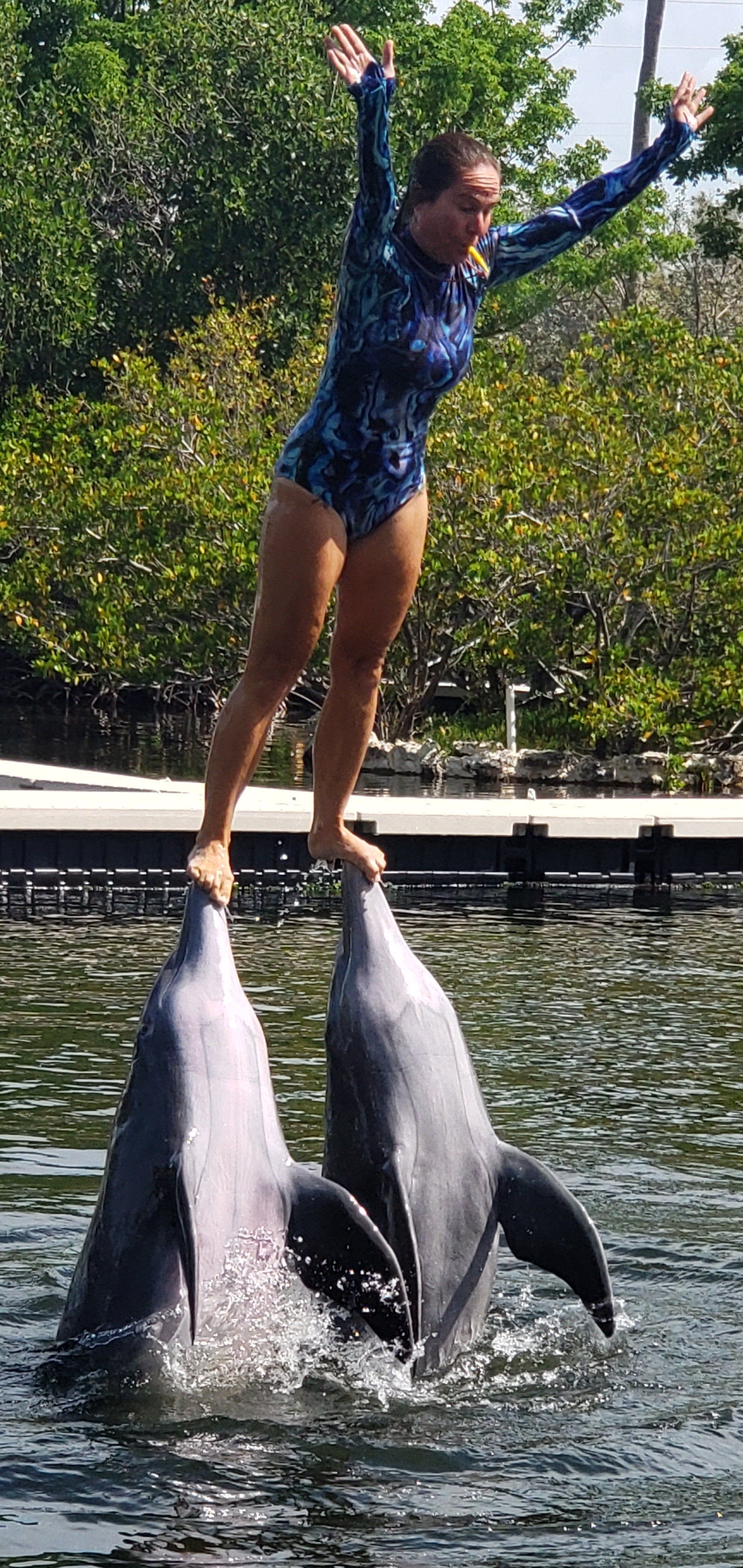 artsy sister, dolphin show, theater of the sea