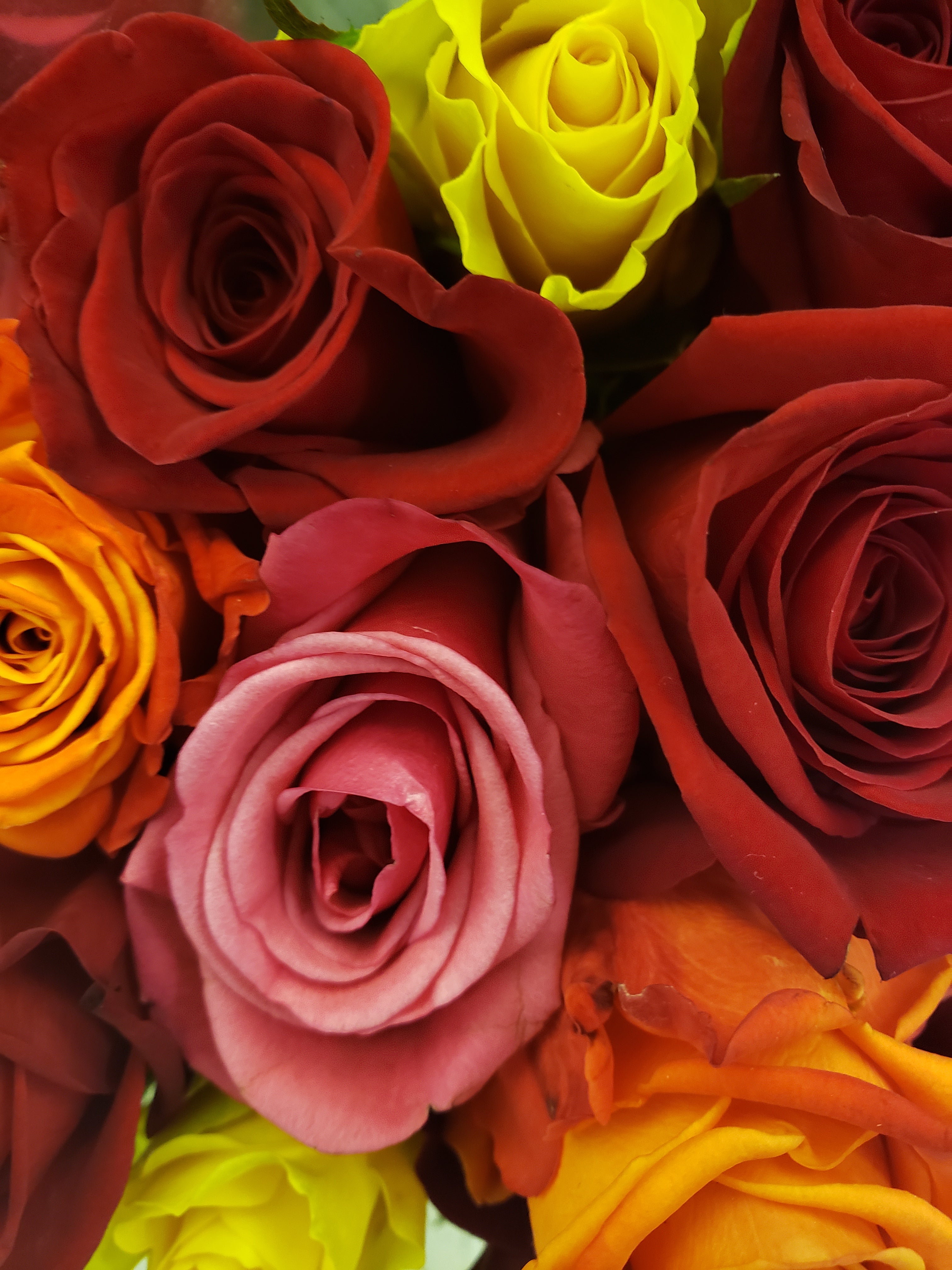 artsy sister, rose bouquet, gardening