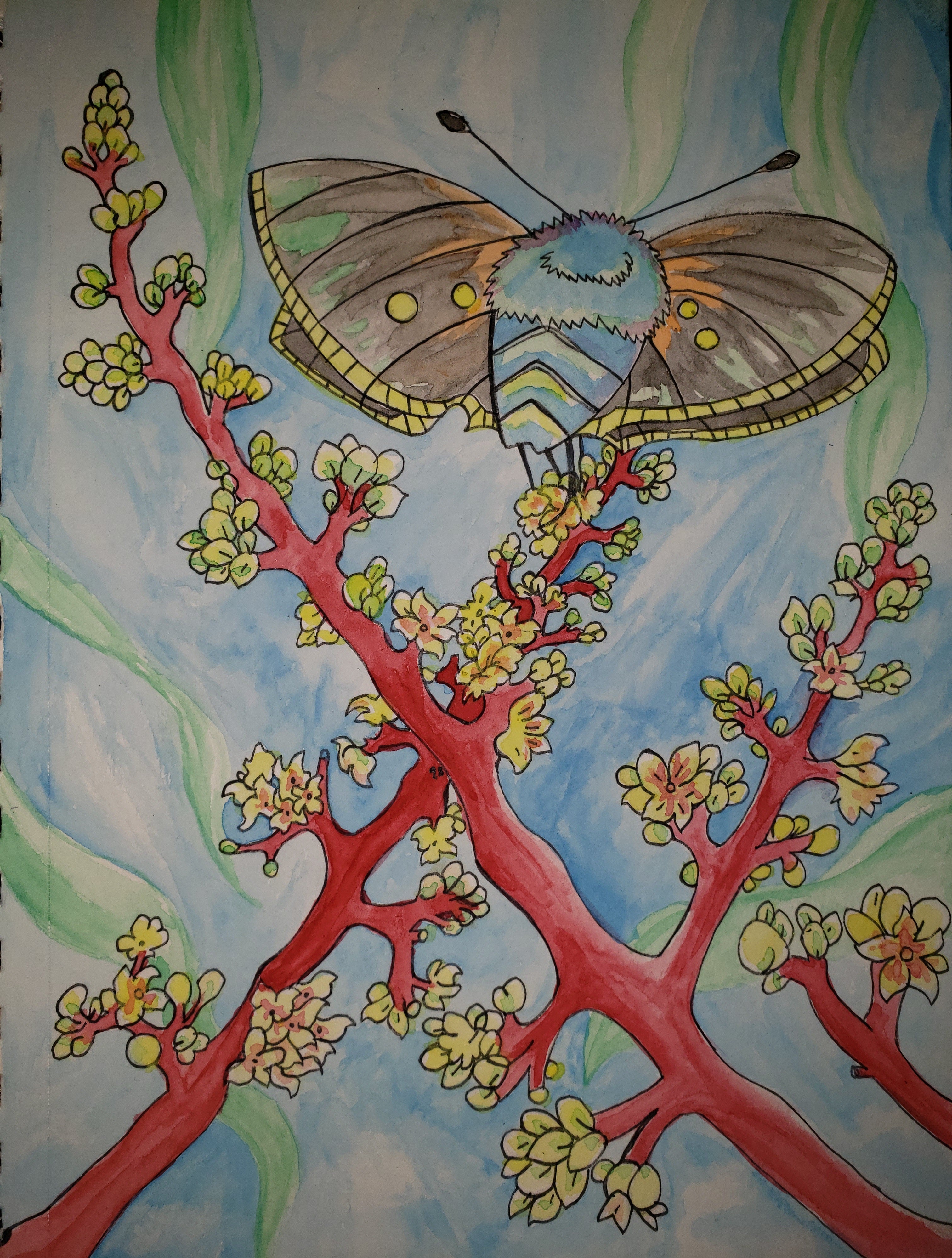 artsy sister teresita blanco, watercolor moth painting, mango flower painting