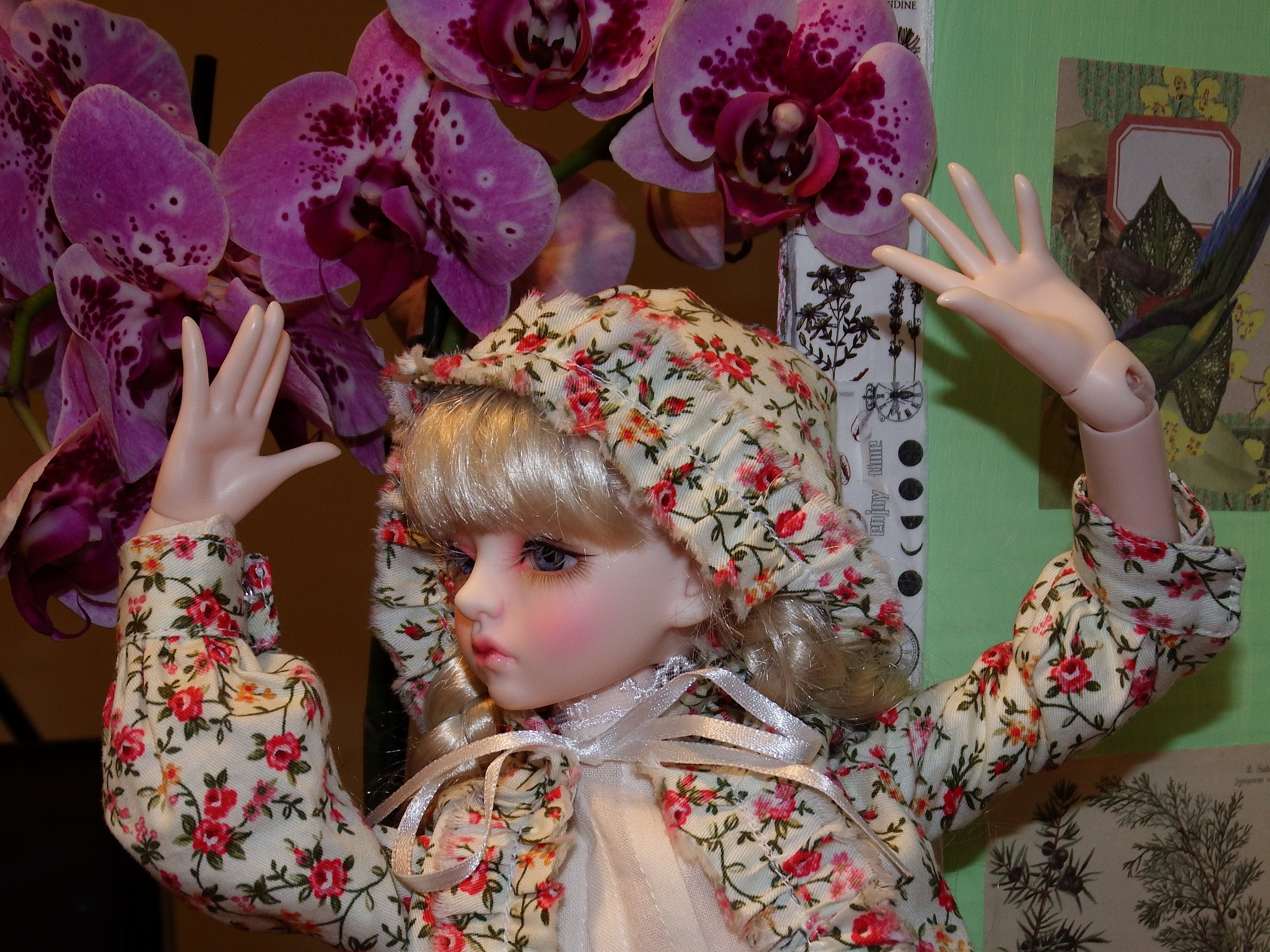 artsy sister, bjd, dolls