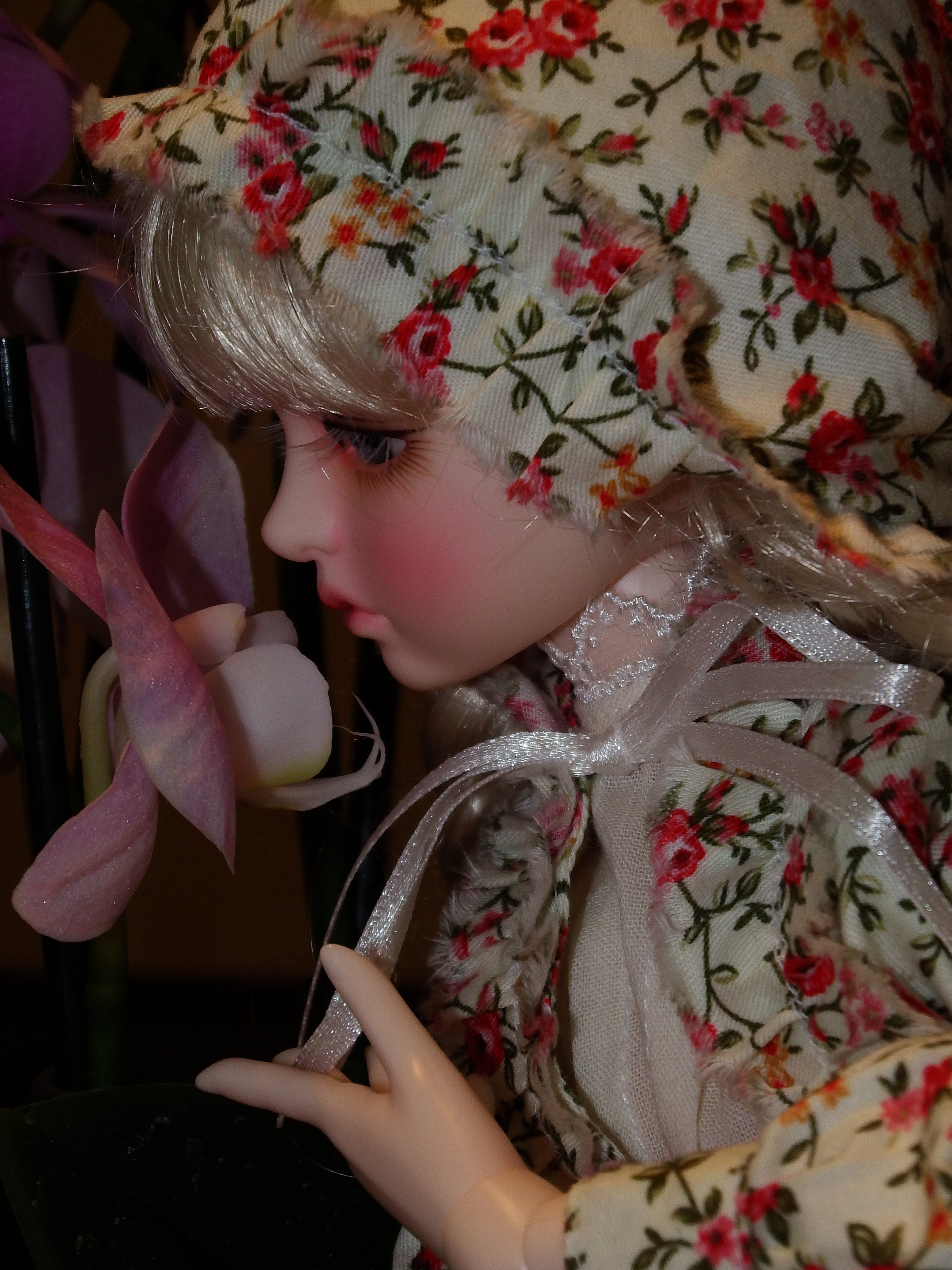 artsy sister, bjd, dolls