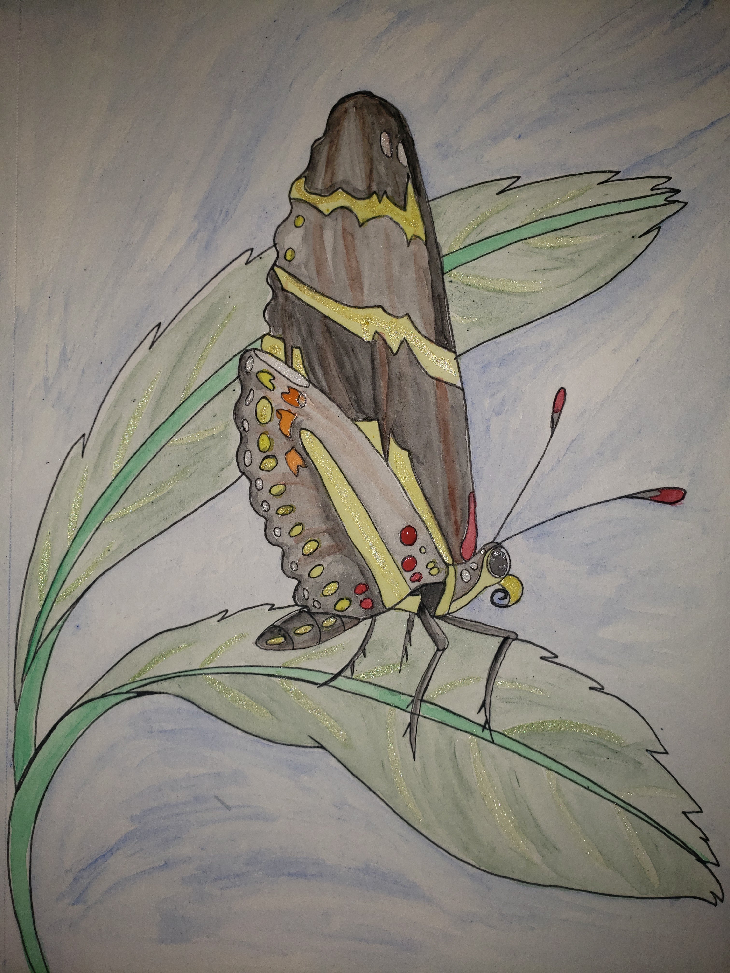 artsy sister, watercolor painting, zebra butterfly