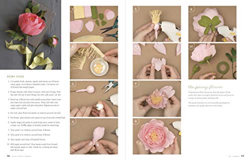 Download Shop Crepe Paper Flowers The Beginner S At Artsy Sister