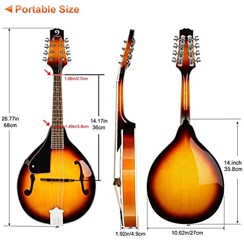 left handed mandolin