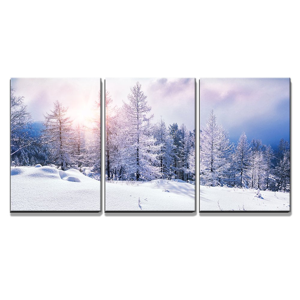 Shop wall26 - 3 Piece Canvas Wall Art - Snow at Artsy Sister.