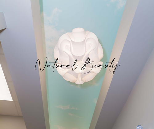 Coffered ceiling, blue ceiling with airbrushed cloud details. Vinyl cloud light fixture.