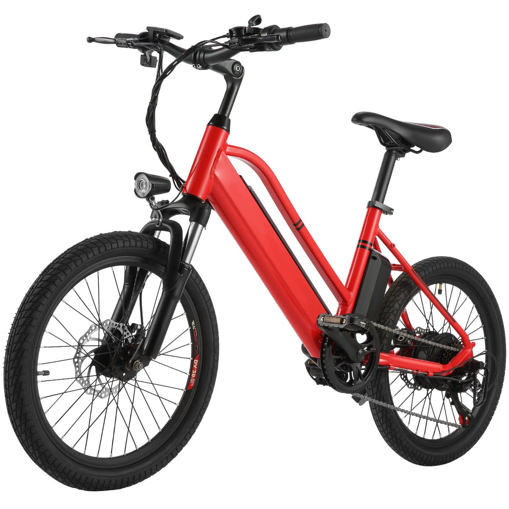 ancheer 20 folding electric bike