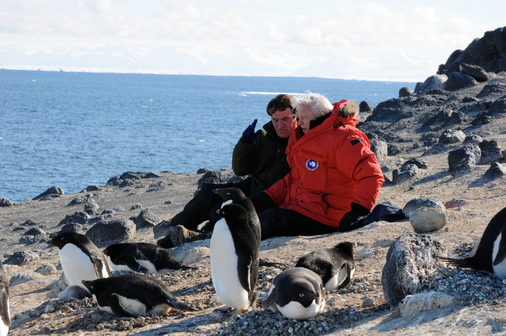 Alastair Fothergill and Sir David Attenborough during filming with penguins