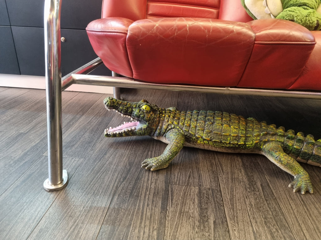 Another one of the crocodiles throughout the store.