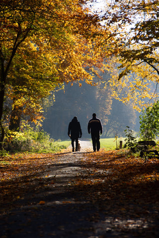 Treat anxiety with a daily routine using Ayurveda principles