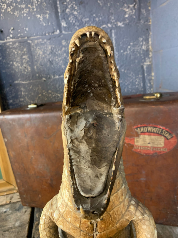 A large anthropomorphic taxidermy crocodile 