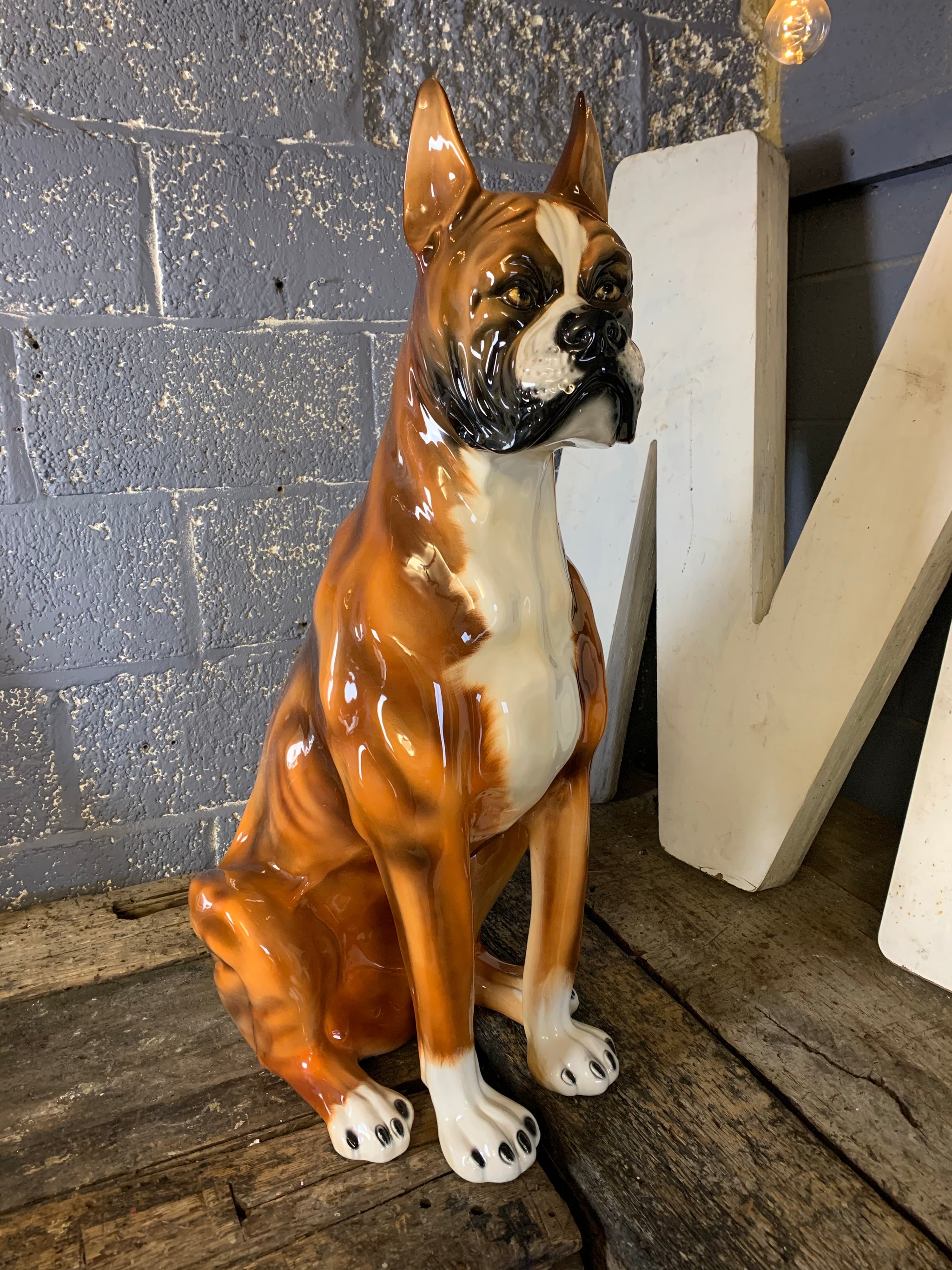 large boxer dog