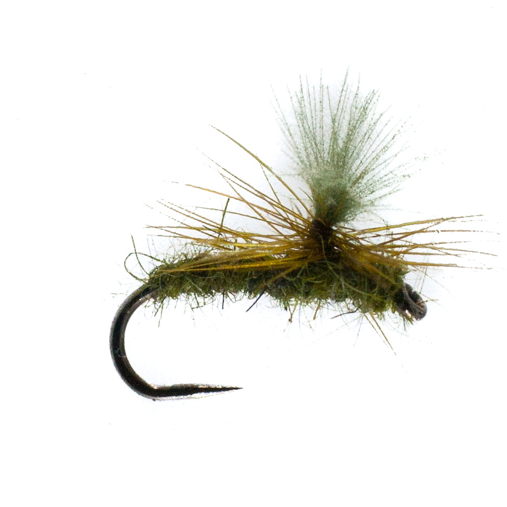 Wild Water Fly Fishing Olive Bubble Emerger Dry Flies, Size 14