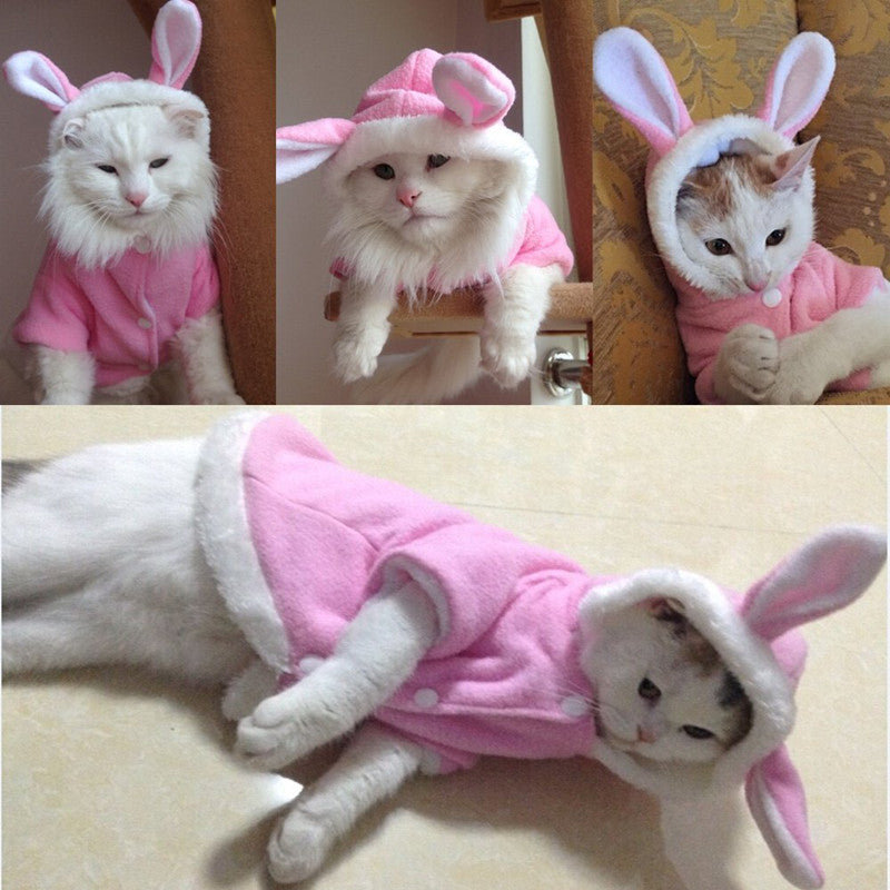 pet hoodies for cats