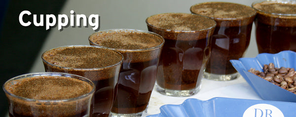 Cupping