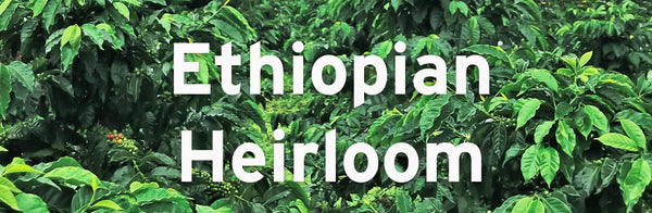 Ethiopian Heirloom Coffee