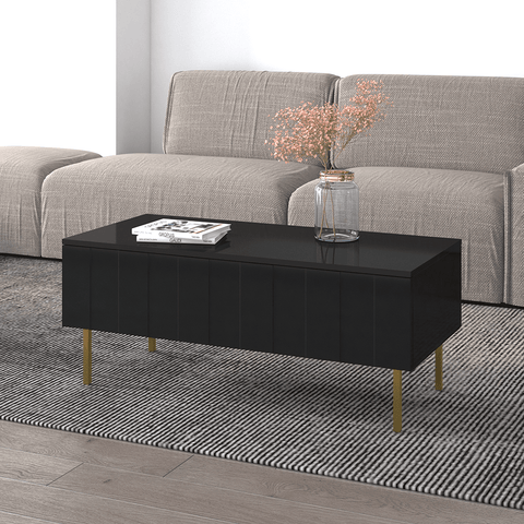 Berlioz Creations Amelie Coffee table with storage box, High gloss  white/Black, 113 x 60 x 40 cm, 100% Made in France: Buy Online at Best  Price in UAE 