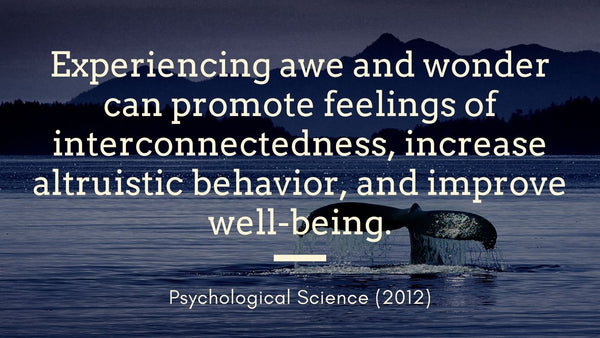 Quote: Experiencing awe and wonder can promote feelings of interconnectedness, increase altruistic behavio, and improve well-being.