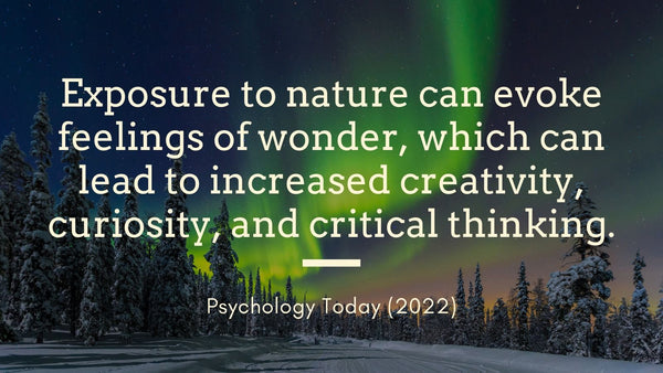 Quote: Exposure to nature can evoke feelings of wonder, which can lead to increased creativity, curiosity, and crticial thinking.