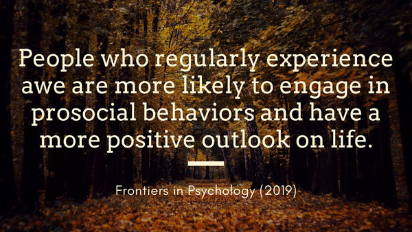 Quote: "People who regularly experience awe are more likely to engage in prosocial behaviors and have a more positive outlook on life."