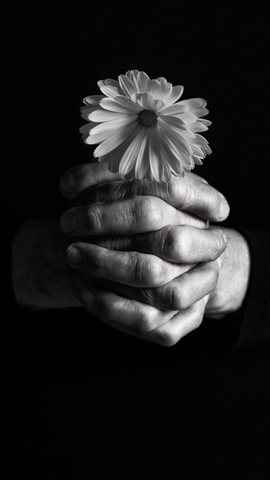 Black and white photo of hands holding a flower.