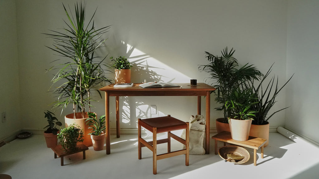 A desk and stool surrounded by an assortment of tropical plants of all sizes. There is also a stool next to the desk and a couple of books on the desk.