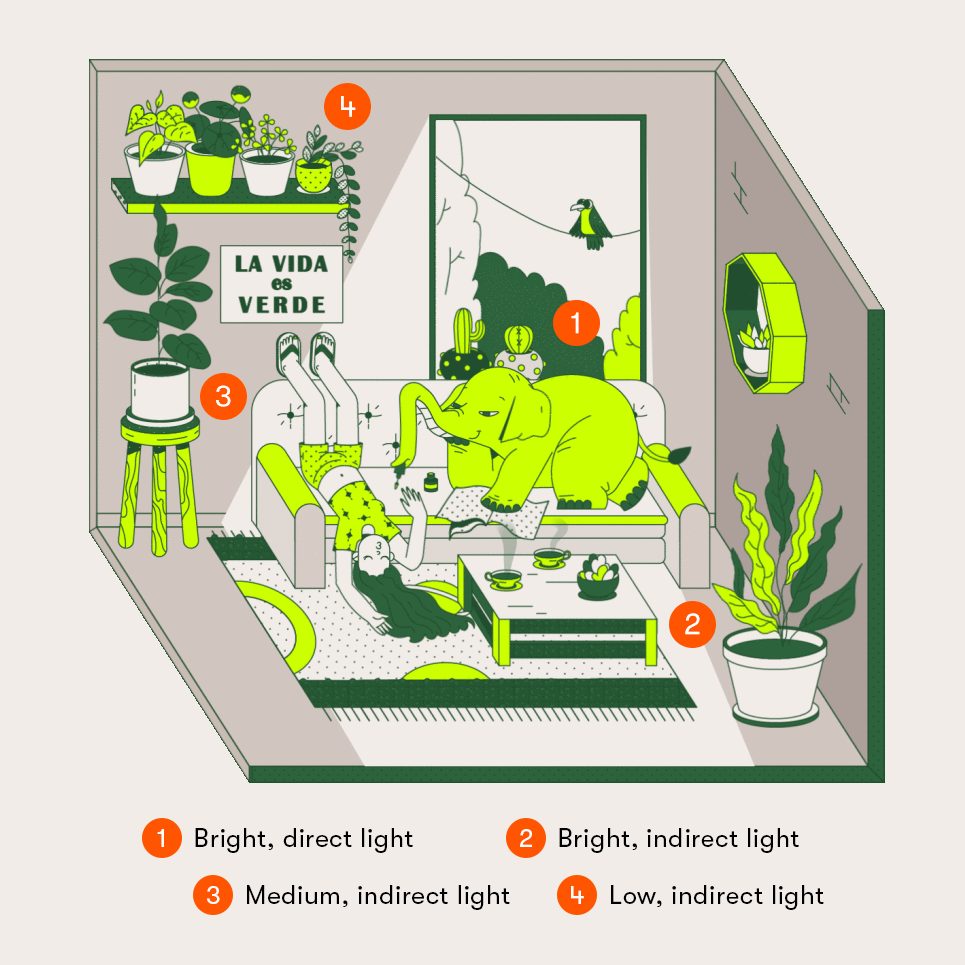 A cartoon graphic of a girl lying upside down on a couch surrounded by plants while her elephant friend paints her nails with its trunk. There are indicators in the room showing that bright light is by the window, and low light is in corners of rooms and high shelves.