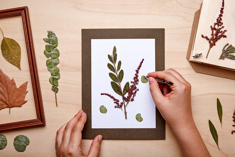 pressed flowers and plants in a book