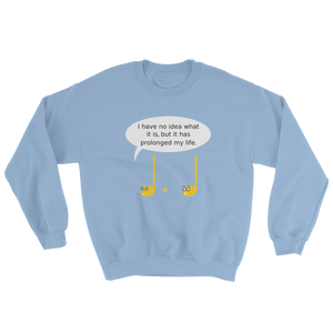 Prolonged Life Clever Music Note Sweatshirt