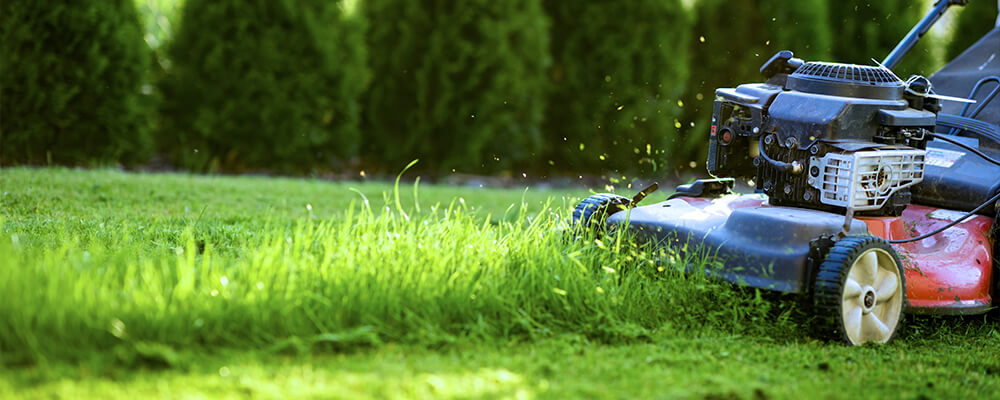 B&B-earth-friendly-growing-gardening-mowing-grass-clippings