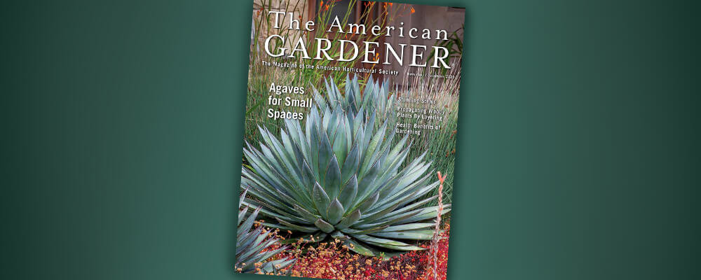 B&B-gardeners-reading-list-american-gardener-cover