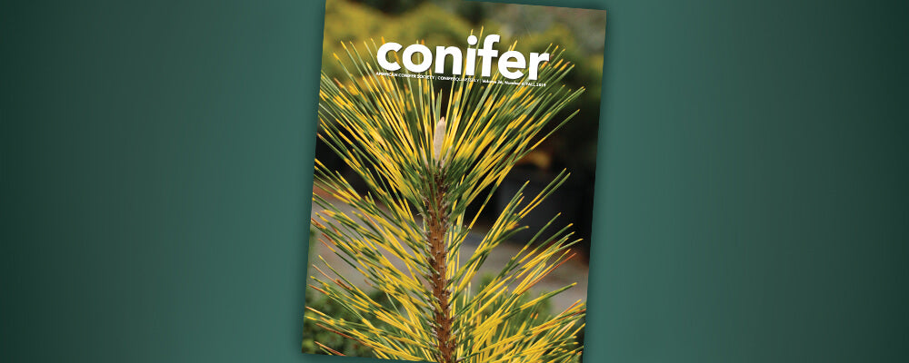 B&B-gardeners-reading-list-conifer-magazine-cover