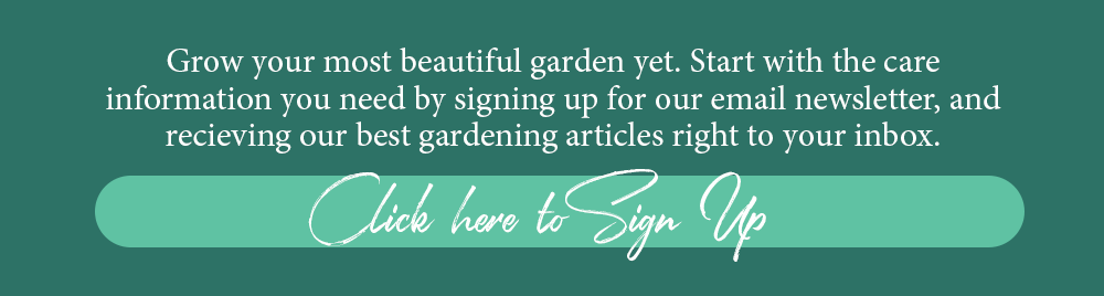 Call to action Brent and Becky's email newsletter sign up flower articles tips ideas inspiration advice growing gardening