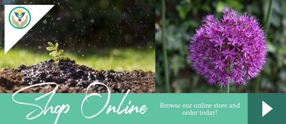 Shop Online at Brent & Becky's - Gardening Supplies