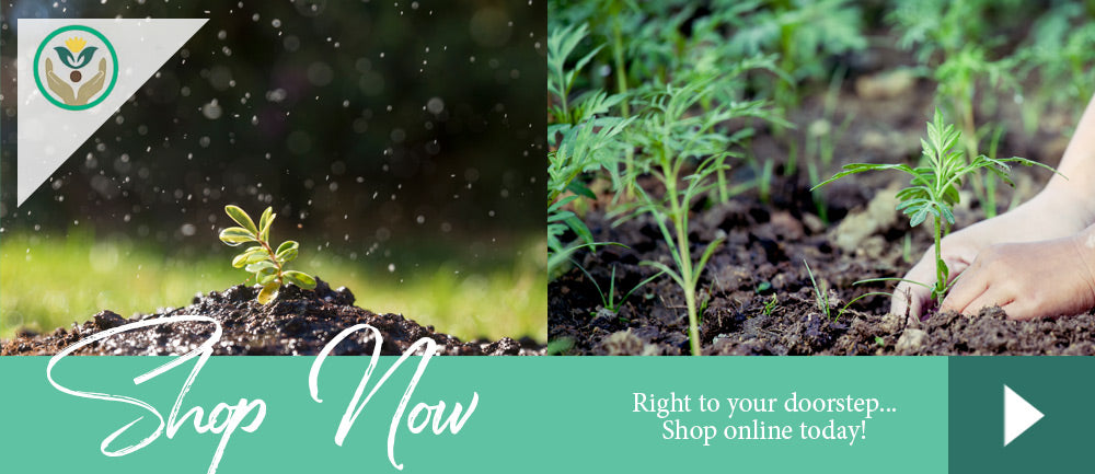 Dirt vs soil Brent & Becky's online gardening store