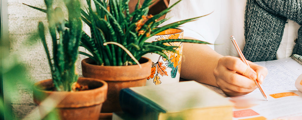 brent-&-becky-garden-journaling-pencil-journal-succulents