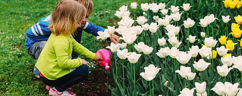 brent-becky-impact-of-bulbs-kids-watering-tulips