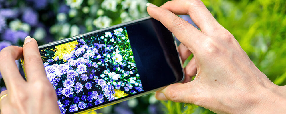 brent-becky-marking-your-bulbs-photos-flowers