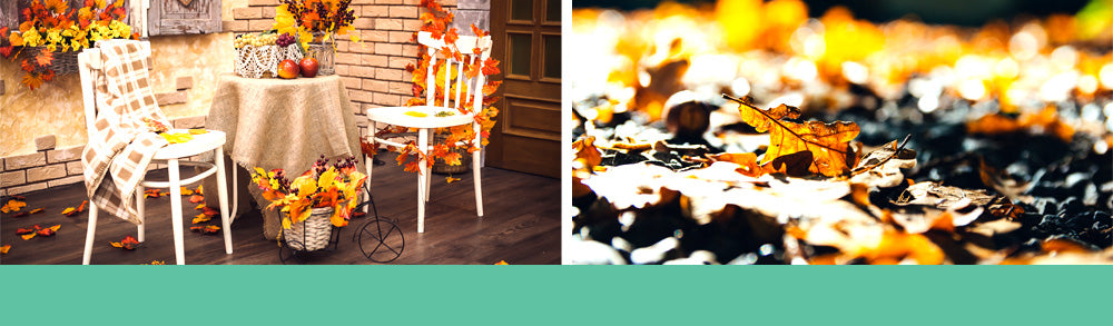 Fall Gardening Checklist header - Fall Leaves and Outside Patio